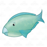 Blue-Green Parrotfish