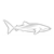 Whale Shark Line PDF