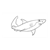 Great White Shark Line PDF