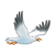 Seagull Color PDF