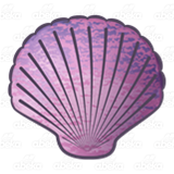 Purple Scalloped Shell