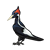 Pileated Woodpecker Color PNG