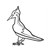 Pileated Woodpecker Line PDF