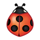 Red Ladybug with five spots