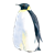 Adult Penguin Color PNG
