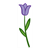 Purple Flower Color PDF