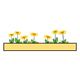Flower Box with yellow flowers
