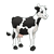 Spotted Cow Color PNG