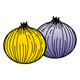 Two Onions yellow and purple