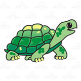 Green Turtle 2