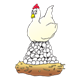 White Chicken sitting on egg pile in nest