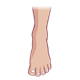 Left Foot 