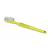 Yellow Toothbrush Color PDF