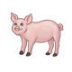 Standing Pink Pig with brown hooves
