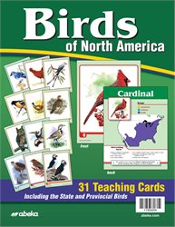 Birds of North America Teaching Cards