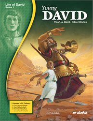 Young David Flash-a-Card Bible Stories