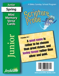 Scripture Probe Junior Mini Memory Verse Cards