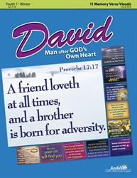 David: A Man After God's Own Heart Youth 1 Verse Visuals