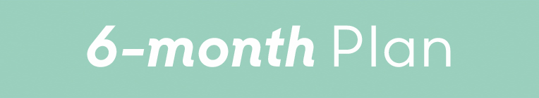6-month Payment Plan