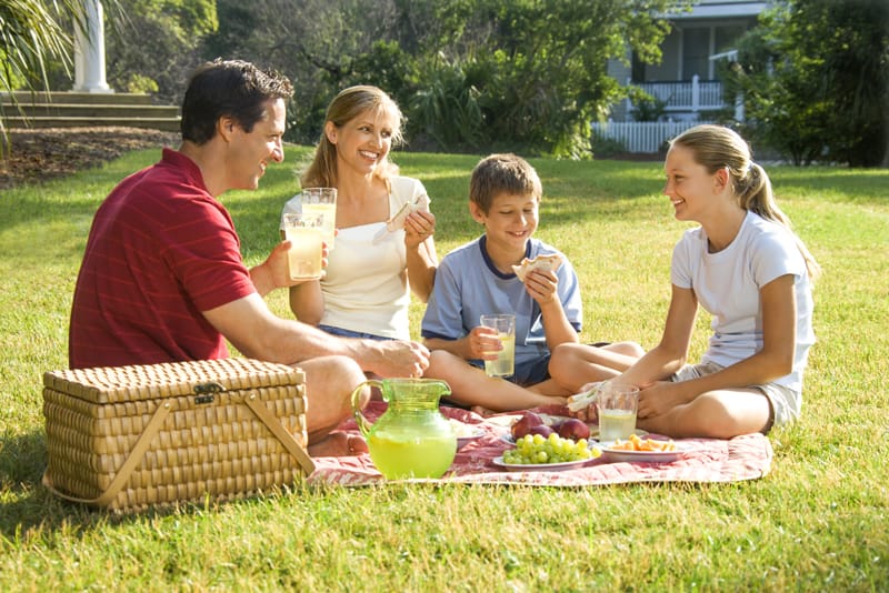 Family Picnic