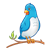 Blue Bird Color PNG
