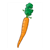 Carrot Color PDF