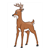 Male Deer Color PDF