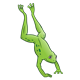 Green Frog landing