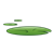 Lily Pads Color PNG
