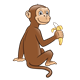 Brown Monkey eating a partially peeled banana