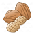 Assorted nuts Color PNG