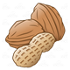 Assorted nuts peanut and walnuts