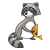 Raccoon Color PNG