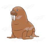 Brown Walrus