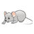 Gray Mouse Color PDF
