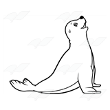 Light Gray Seal