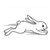 Tan Rabbit Line PDF