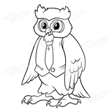 Male Owl