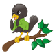 Black Bird on Branch wearing a green jacket