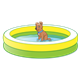 Shallow Pool with brown dog