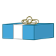 Blue Gift with white ribbon and bow