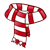 Scarf Color PNG