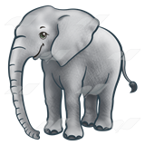 Gray Elephant