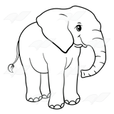 Gray Elephant