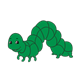 Green Inchworm squirming