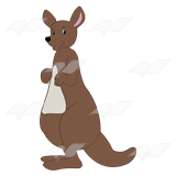 Female Kangaroo