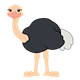Ostrich with a gray tail and peach legs and neck 
