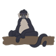 Black Monkey sitting on a branch