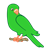 Green Parakeet Color PNG