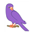 Purple Parakeet Color PDF
